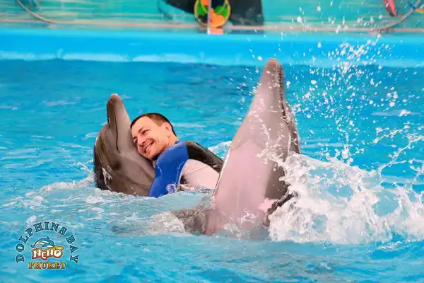 4_Dolphins Bay Phuket