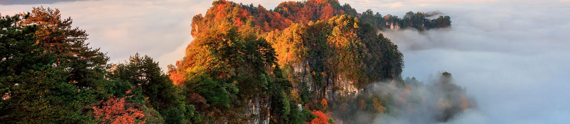 Fall Viewing Attractions