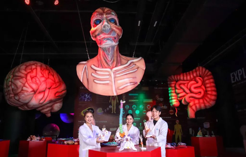 SciENSE Museum