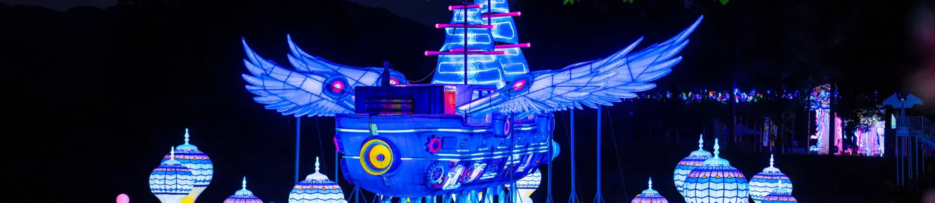Night Attractions