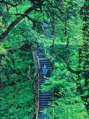 룽창거우 국립 삼림공원