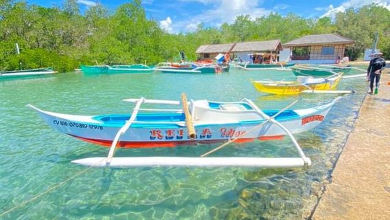 Albur Bohol Whale Watching