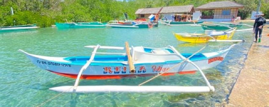 Albur Bohol Whale Watching
