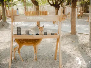 Paradise of deer