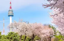 N Seoul Tower