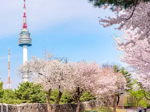 N Seoul Tower