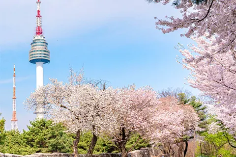N Seoul Tower