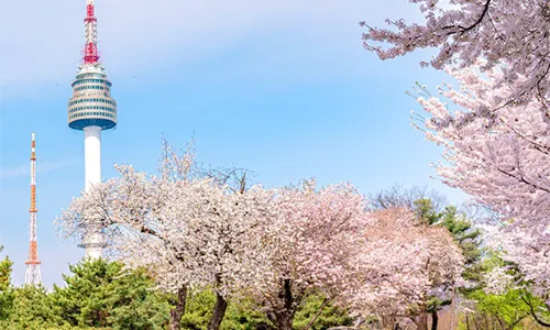 N Seoul Tower