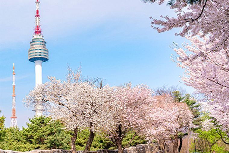 韓國入境規定