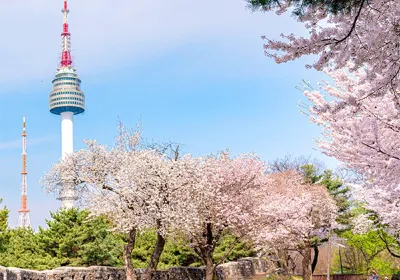 N Seoul Tower