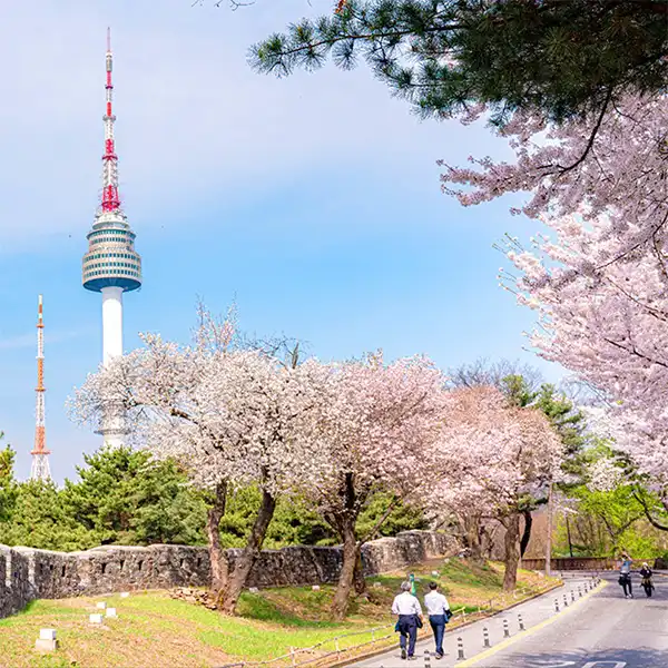 Hotels near N Seoul Tower