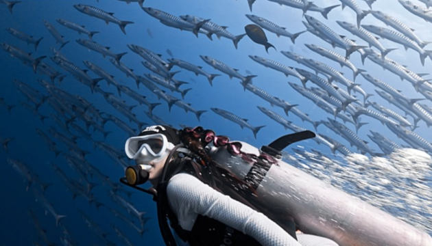 Amber Scuba Dive Centre
