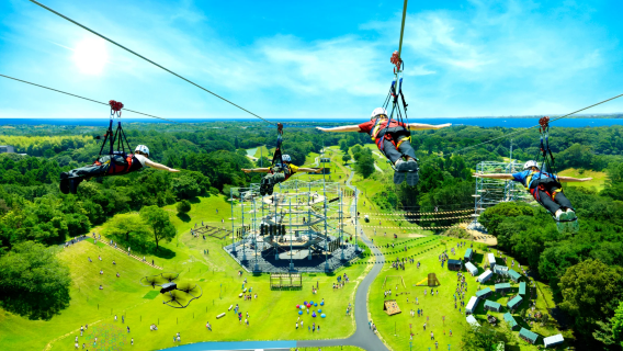 SHIMA GREEN ADVENTURE