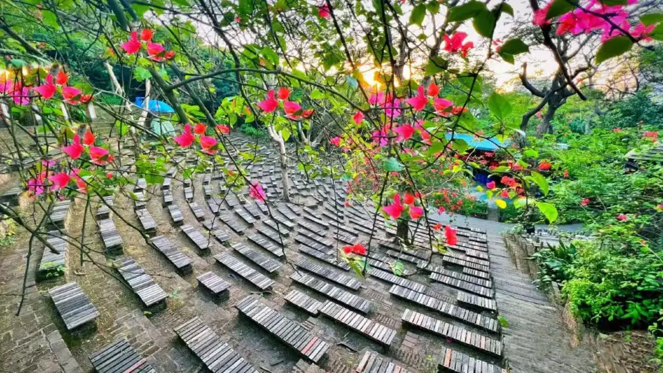 5_青青世界