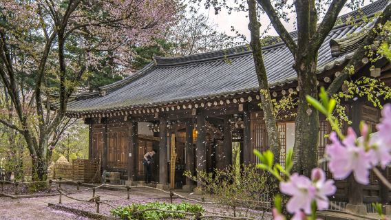 首爾日遊