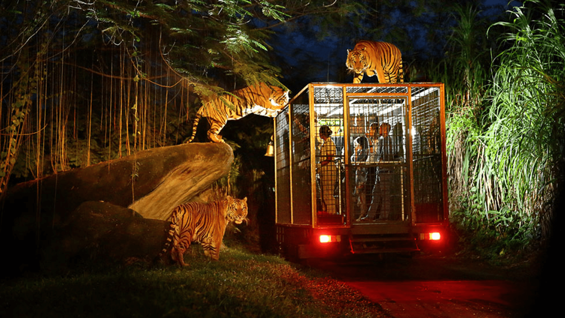 foto taman safari bali