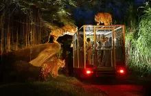 The Amazing Taman Safari Bali