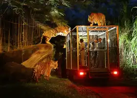 峇裡島野生動物園和海洋公園