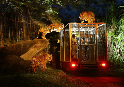 峇里島野生動物園