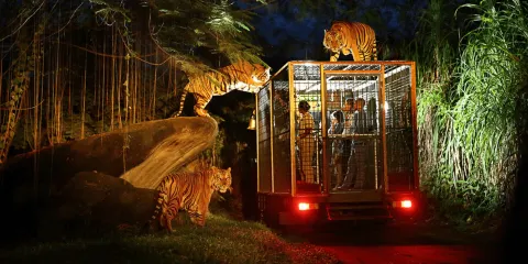 峇里島野生動物園