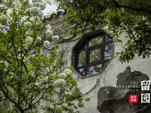 Lingering Garden(Liuyuan Garden)