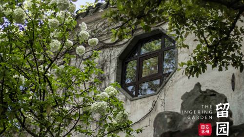 Lingering Garden