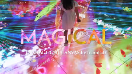 Digital Light Canvas by teamLab