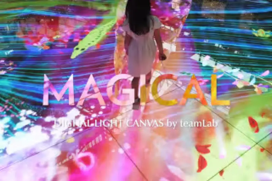 Digital Light Canvas by teamLab