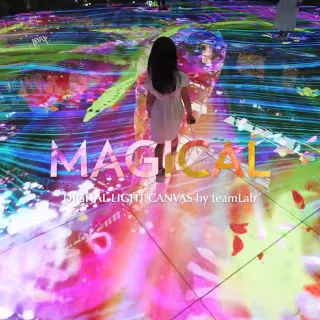 1_Digital Light Canvas by teamLab