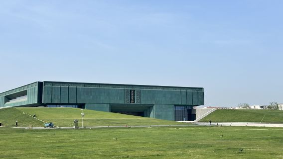 Anyang Yinxu Museum + 3-hour expert explanation + high-quality small group + optional timeslot