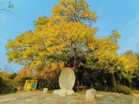 The Yellow River Scenic Area of Zhengzhou
