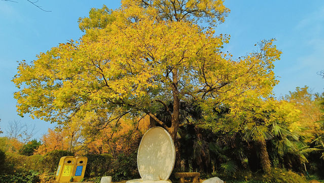 The Yellow River Scenic Area of Zhengzhou