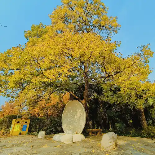 The Yellow River Scenic Area of Zhengzhou