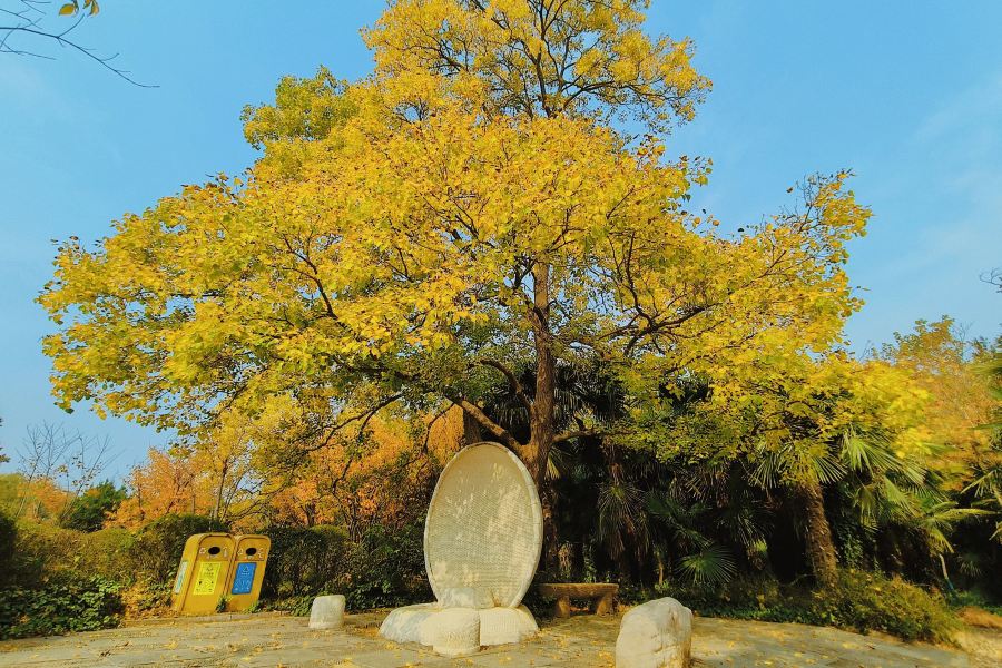 鄭州黃河文化公園