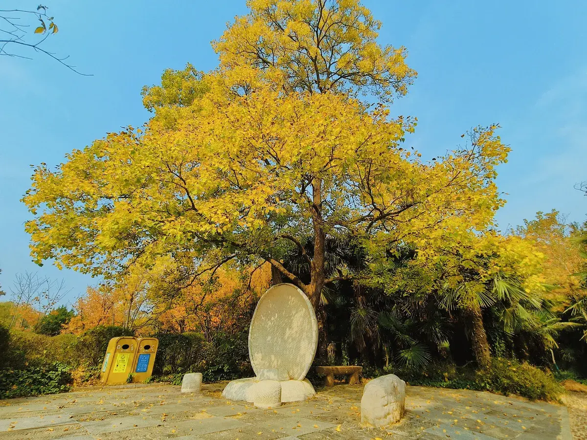Zhengzhou Yellow River Cultural Park