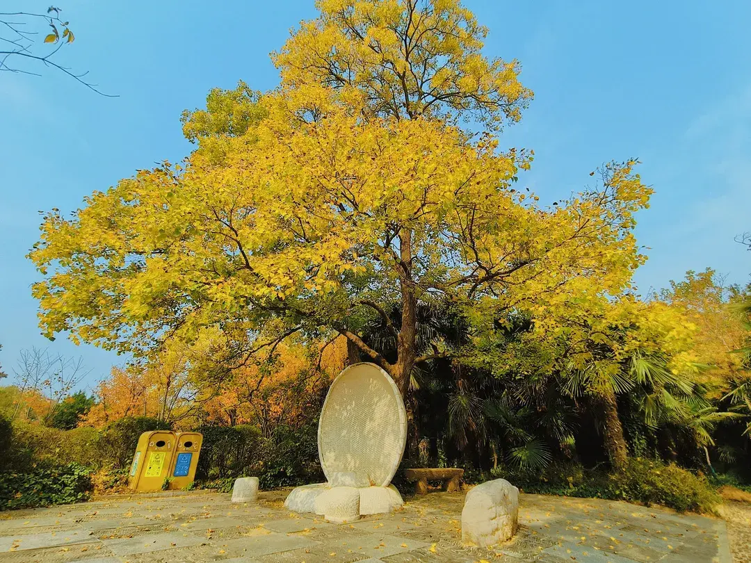 2_The Yellow River Scenic Area of Zhengzhou