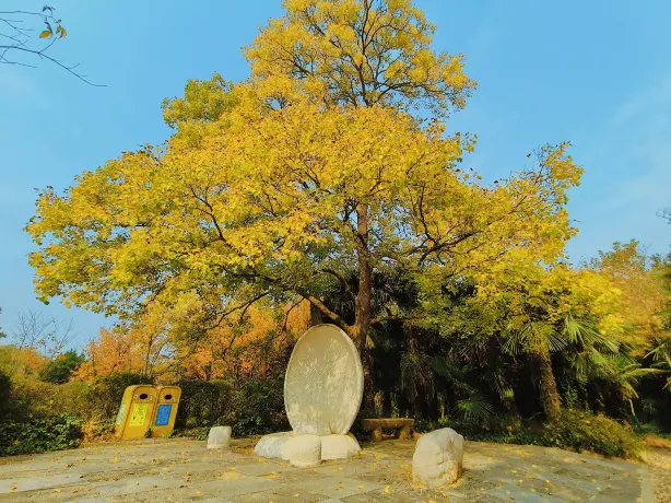 Zhengzhou Yellow River Cultural Park