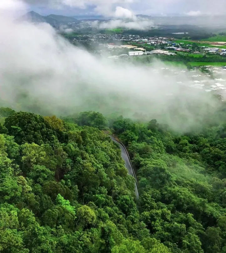 2_Kuranda Koala Gardens