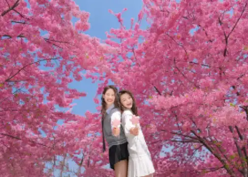 Manhua Sea of Flowers