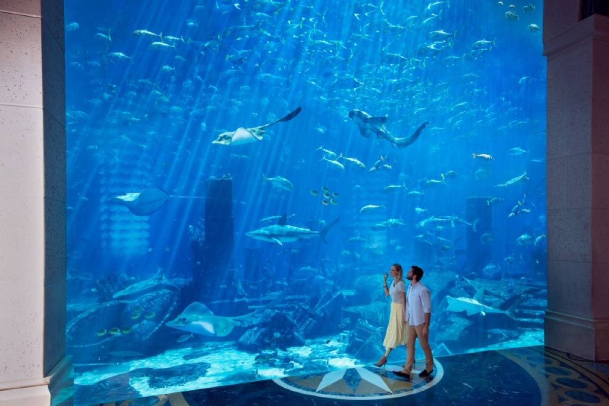 The Lost Chambers Aquarium