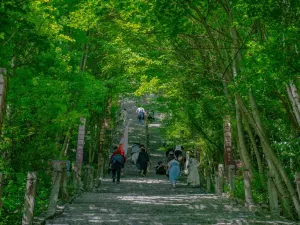 Jiuhuang Mountain Scenic Spot