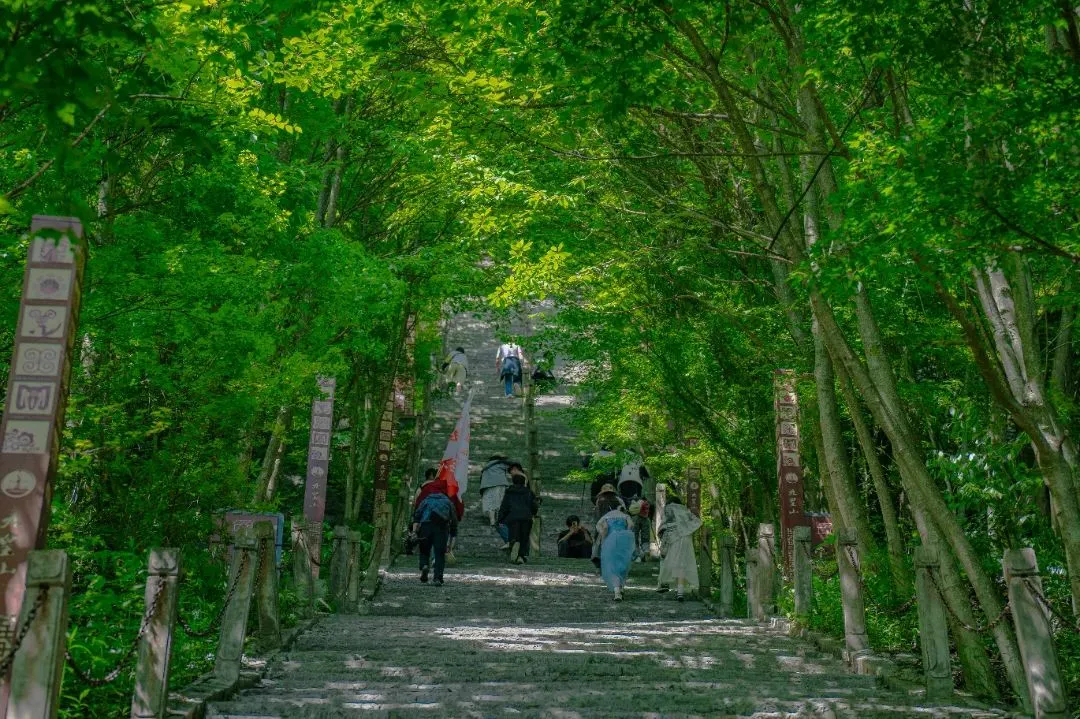 3_九皇山