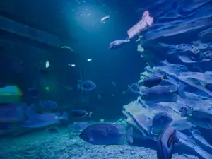 Jinchang Haichen Ocean Park