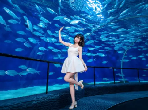 Shanghai Ocean Aquarium