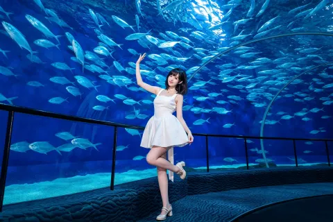 上海海洋水族館