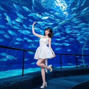 上海海洋水族館