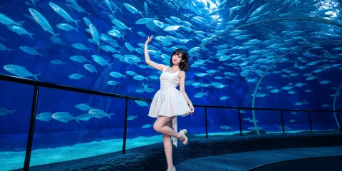 上海海洋水族館