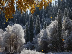 쿠르드닝 관광지