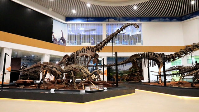 Liujiaxia Dinosaur National Geology Park