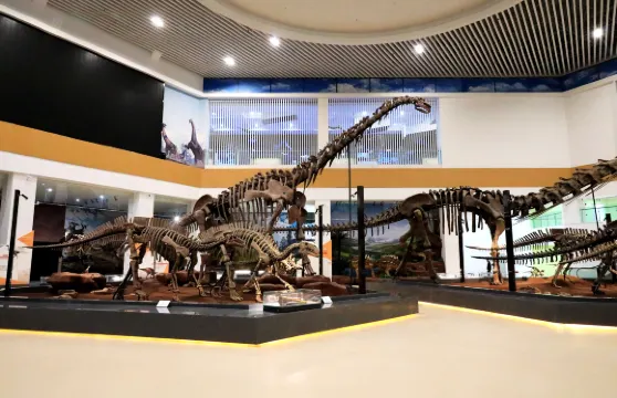 劉家峽恐龍國家地質公園門票成人